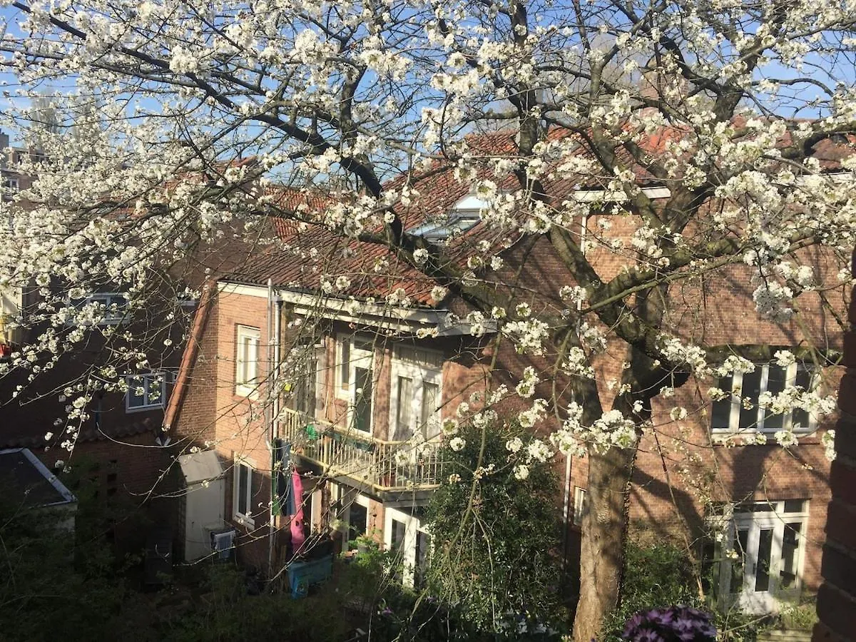 Beautiful Quiet Apt In The Center Of Amsterdam
